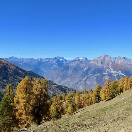 Charming Near Area * Nendaz