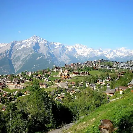 Charming Near Area Nendaz