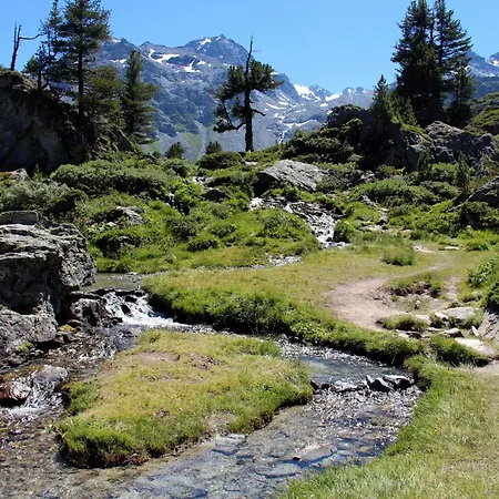 Daire Charming Near Area
