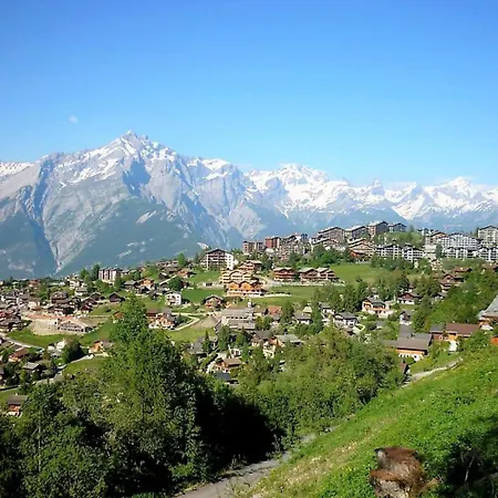 Charming Near Area Nendaz